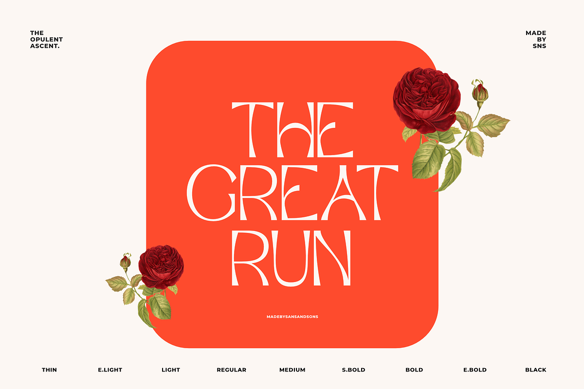 Opulent Ascend - 9 Font Family, a Sans Serif Font by Sans & Sons (Photo 9 of 10)