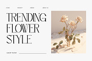 Arroyond - Modern Serif Fpnt, a Serif Font by Rishsketch (Thumbnail 3 of 15)