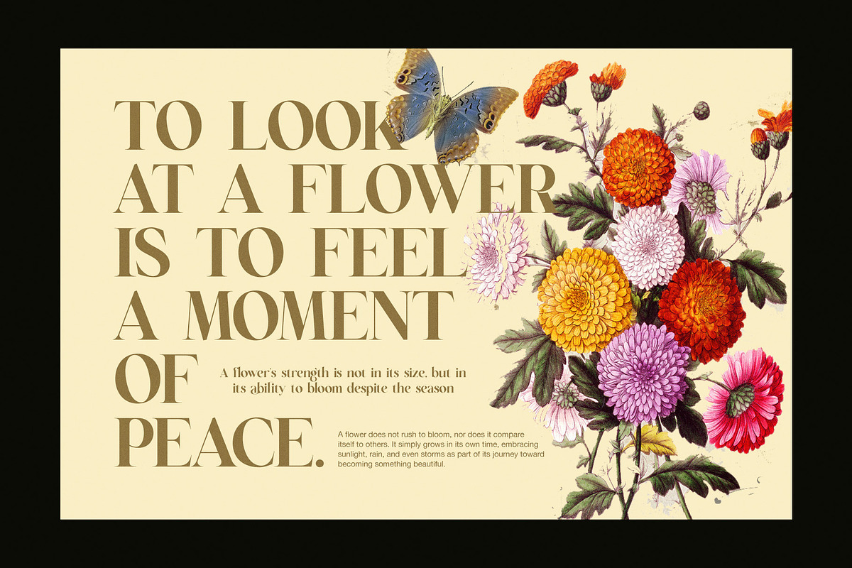 Regart Luxury Serif Font, a Serif Font by Perfectype (Photo 5 of 8)