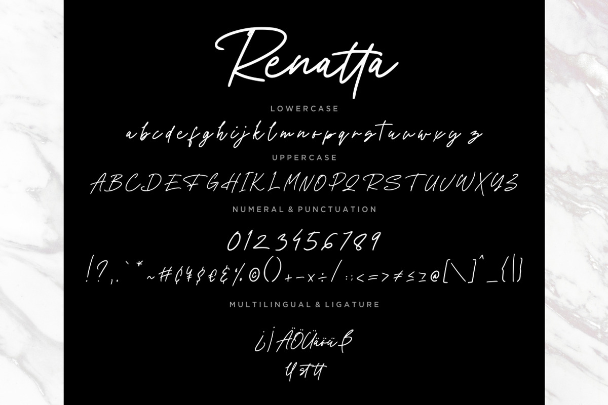 Renatta Business Font preview 7