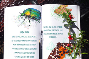 Set Of Watercolor Insects