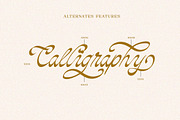 Calmias, a Handwritten Font by Typeskets (Thumbnail 8 of 9)