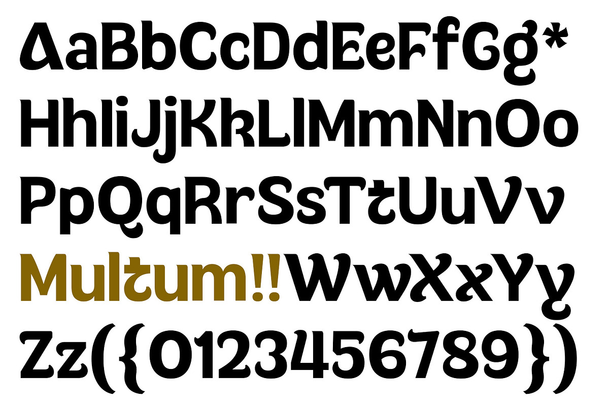 Multum - Distinctive Bold Sans, a Sans Serif Font by Fridaytype (Photo 8 of 12)