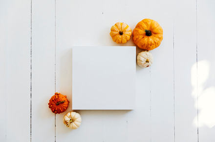 Empty picture frame with autumn pumpkin decor on white wooden fl, a Holiday Photo by hitdelight