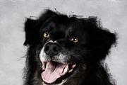 Paint Focus Photoshop Action, an Action Add-On by JLDesignsPH (Thumbnail 5 of 5)