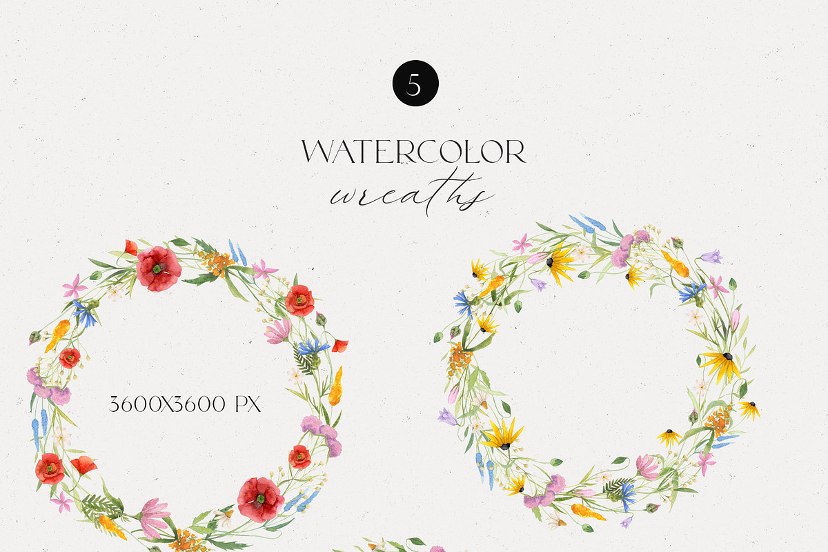Watercolor Wildflowers Collection, an Illustration by Alisha Gronska (Photo 6 of 10)