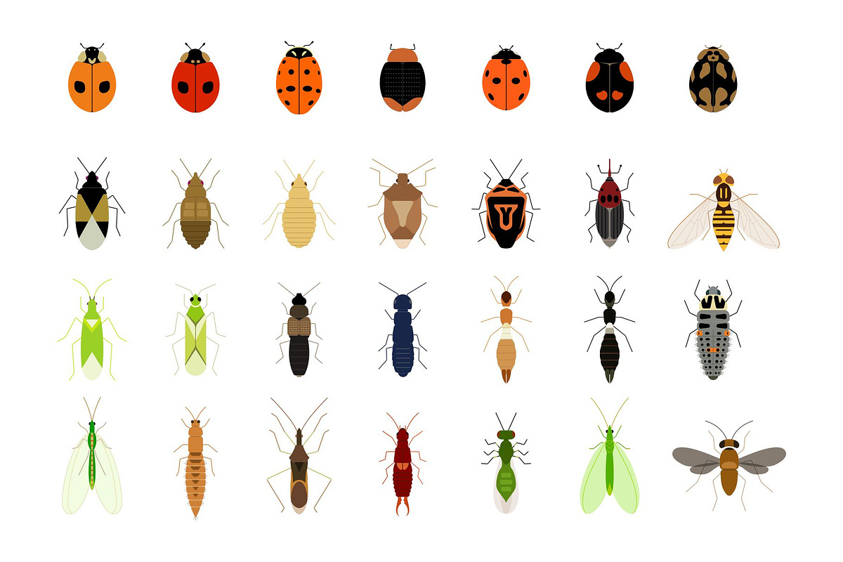 Flat Insects Illustration, an Animal Illustration by Buqancreative (Photo 6 of 6)