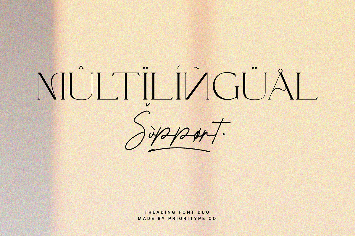 Treading - Modern Font Duo, a Serif Font by Prioritype Co (Photo 16 of 17)