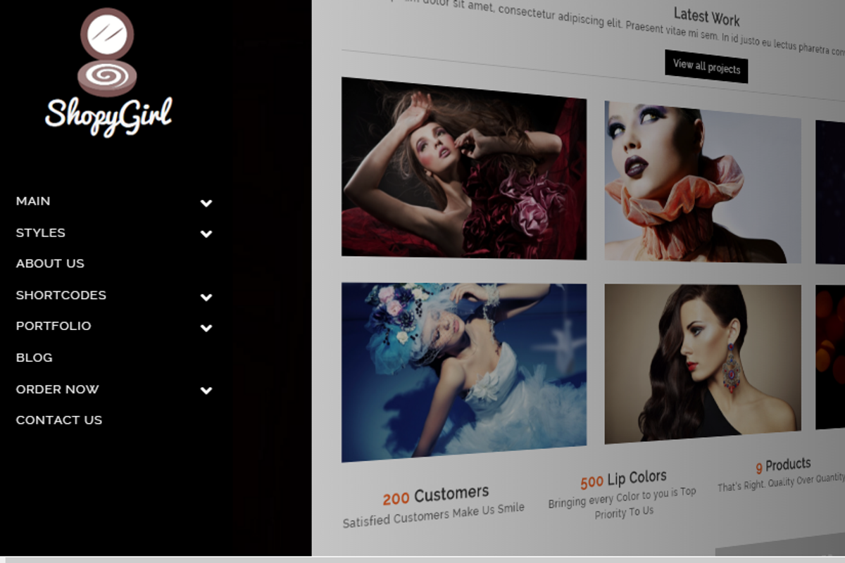 ShopyGirl- A Single Product 3D Theme, a WordPress Template by websoulpk (Photo 3 of 3)