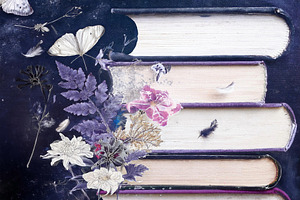 Cottagecore Books 6, a Nature Photo by Coral Antler