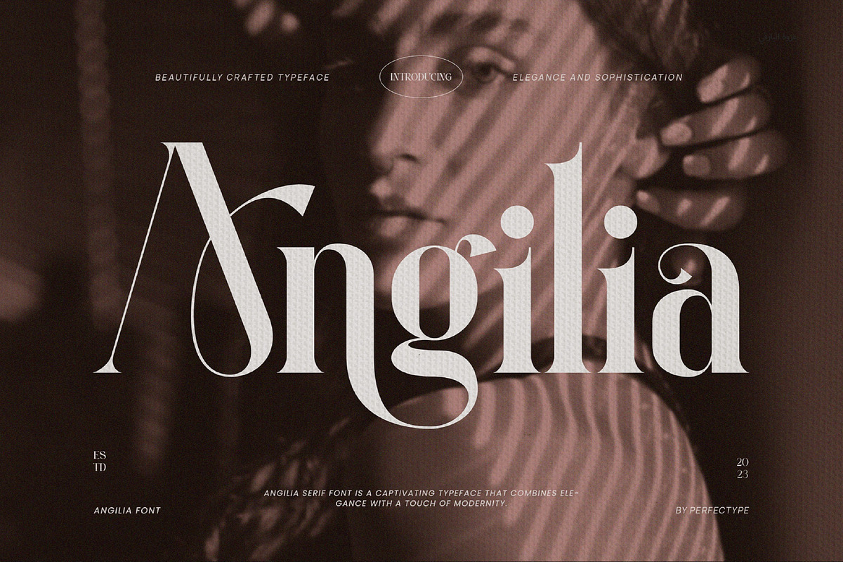 Angilia Elegant Ligature Serif Font, a Serif Font by Perfectype (Photo 1 of 9)