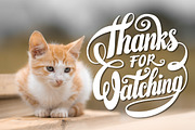 Thanks for Watching Lettering, an Illustration by Royaltype (Thumbnail 1 of 3)