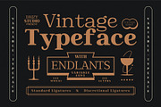 Endlants, a Serif Font by Drizy (Thumbnail 2 of 9)
