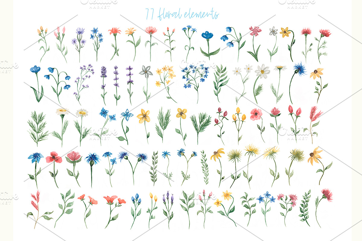 Watercolor Wildflowers Collection, a Decorative Illustration by MayaNavits (Photo 3 of 14)