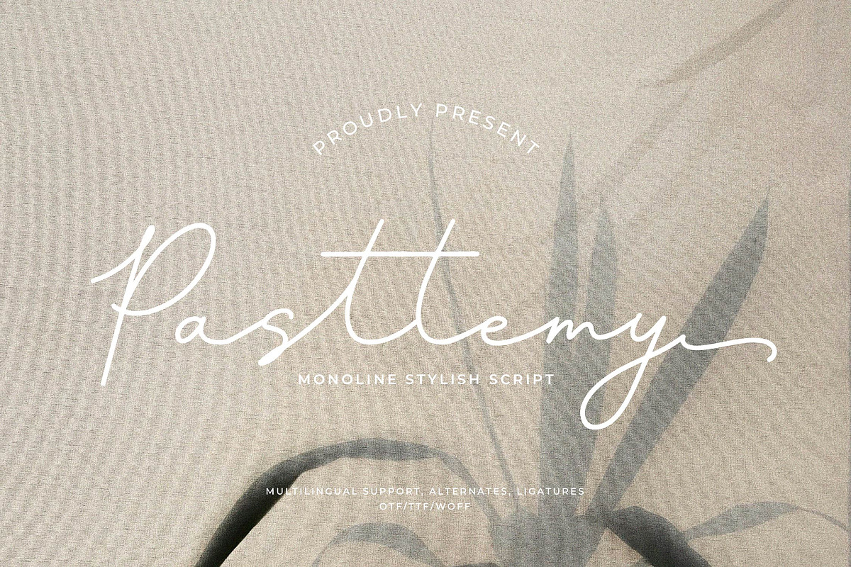Pasttemy | Monoline Stylish Script, a Script Font by Denustudios (Photo 1 of 15)