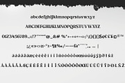 Higamlo | Modern Serif Typeface, a Serif Font by MchCrafter (Thumbnail 9 of 9)