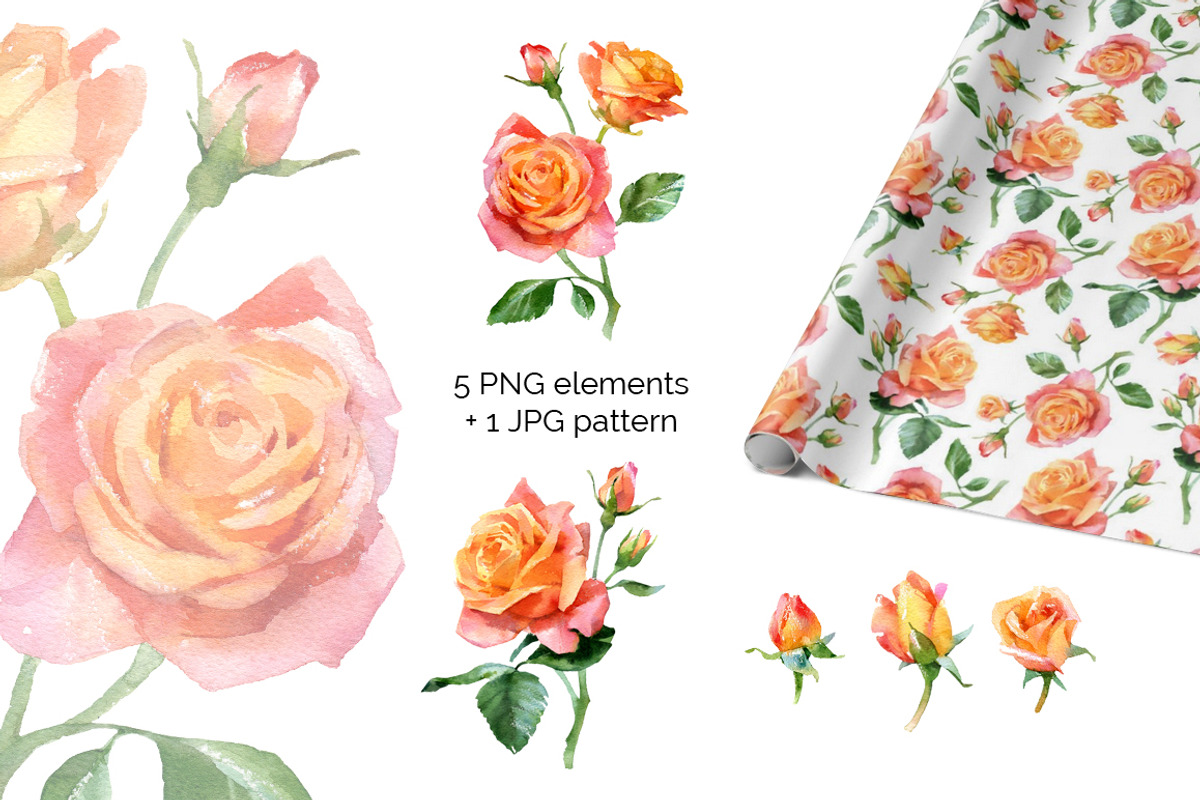 Watercolor roses, an Illustration by ognivo (Photo 2 of 2)