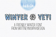 Holiday Design Bundle, a Font by Brittney Murphy Design (Thumbnail 6 of 6)