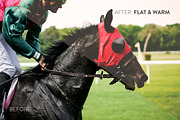 14 Subtle Tones Photoshop actions, an Action Add-On by RAPPIDLY (Thumbnail 5 of 5)