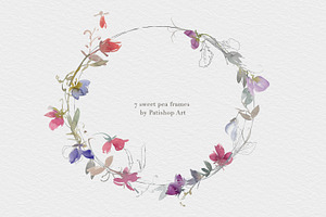 Watercolor Sweet Pea Clipart Set