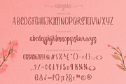 Arayara - Modern Script Fonts, a Script Font by SemutHitam Creative (Thumbnail 5 of 9)