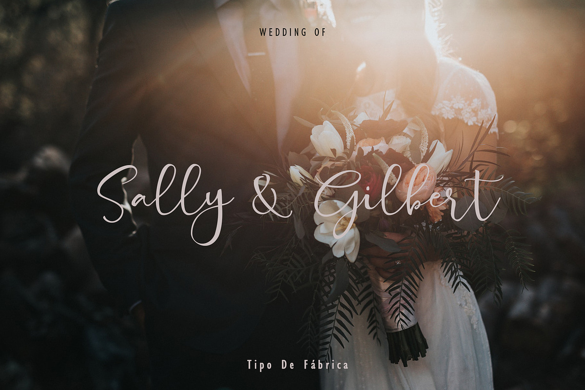 Ciellda || Signature Script Font preview 4