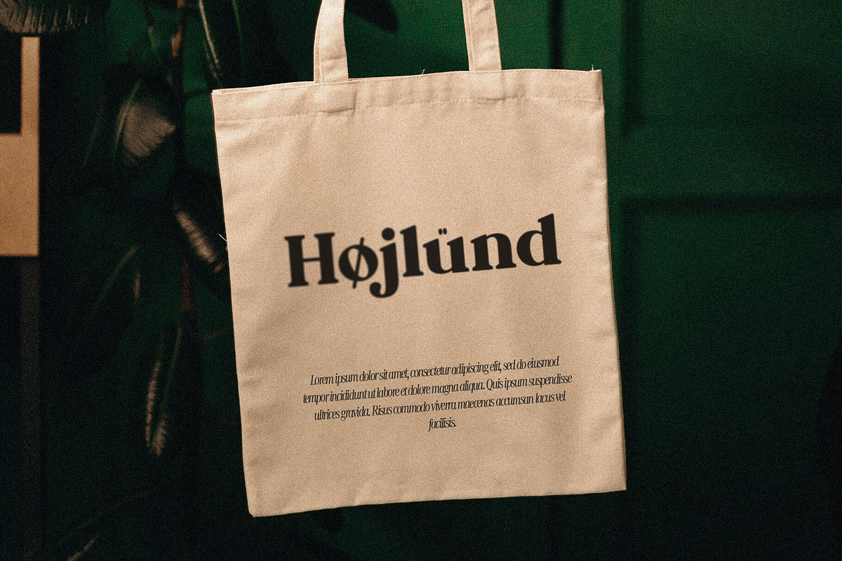 Cosity - Display Serif Font, a Serif Font by Koplexs Studio (Photo 10 of 10)