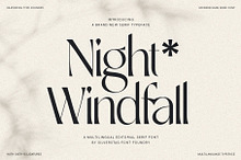 SLTF Night Windfall - Ligature Sans