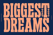 Sanford Region - Variable Font, a Slab Serif Font by Letterhend Studio (Thumbnail 3 of 11)