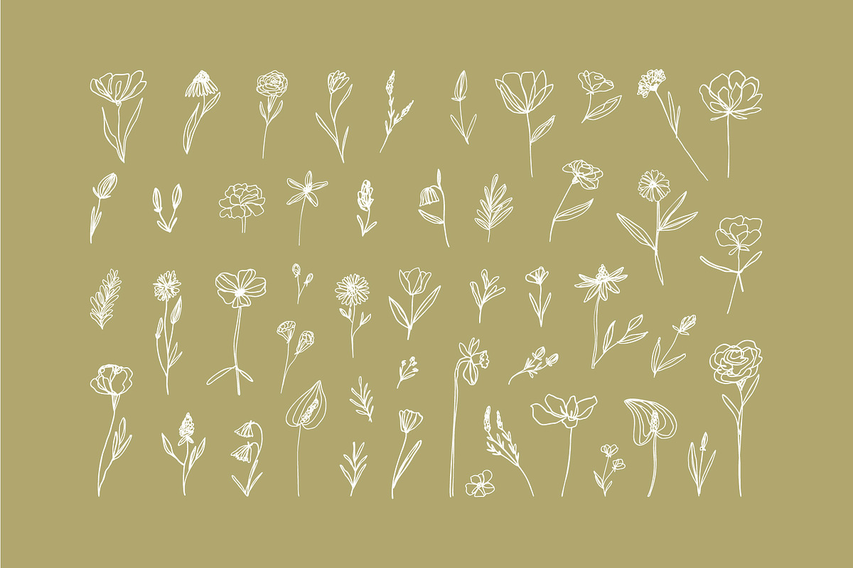 Elegant Botanicals | 100% Hand drawn, a Decorative Illustration by Olia (Photo 5 of 14)