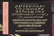 Demonic Echo Bold Brush Calligraphy, a Script Font by stylishtype.co (Thumbnail 18 of 20)