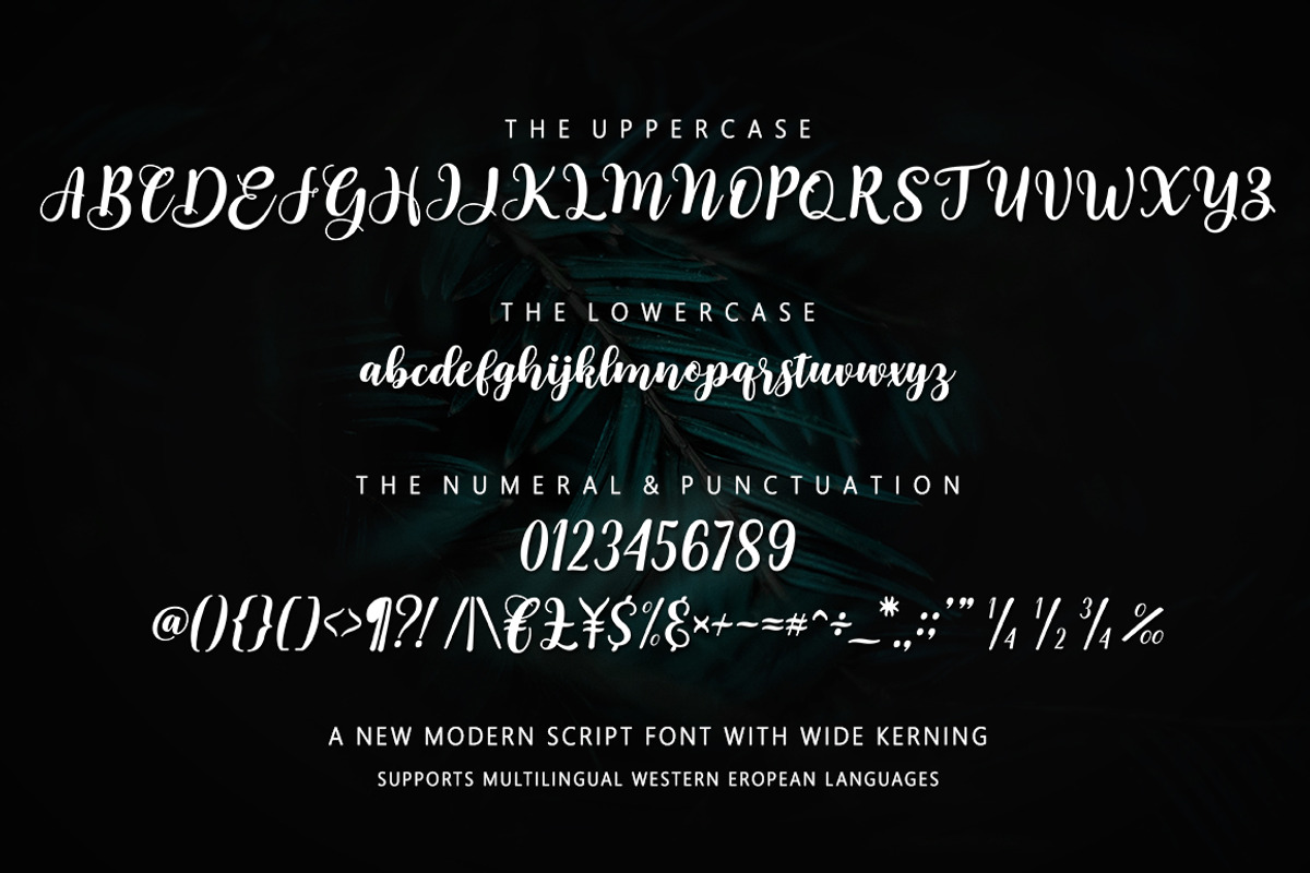 Garden, a Script Font by Alpha Bento (Photo 7 of 8)