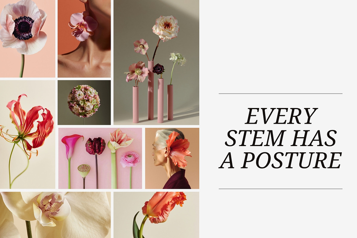 Bloom Atelier | 345 stock images, a Nature Photo by Tale.Haus (Photo 12 of 20)