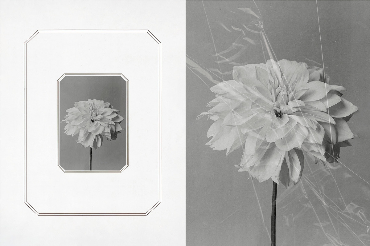 Vintage Scan Borders And Textures⸻3, a Texture Graphic by Studio Viita (Photo 8 of 11)