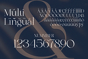 Klyra, a Serif Font by zaaintype (Thumbnail 10 of 10)