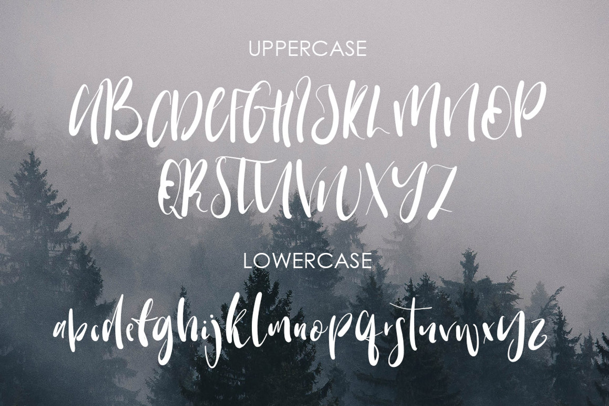 Warrenson Script Font, a Script Font by Creativeqube Design (Photo 14 of 19)