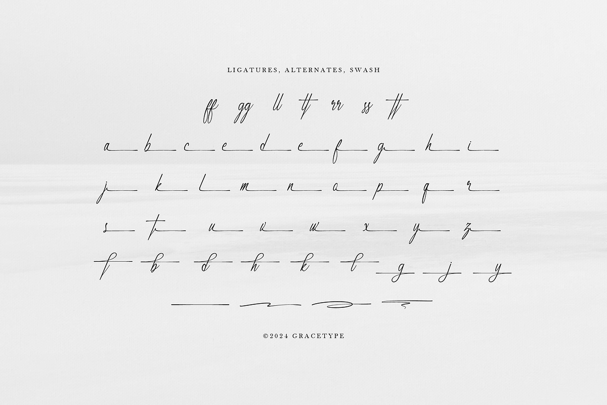 Marseliyon Elegant Signature Script, a Script Font by gracetype_studio (Photo 11 of 12)