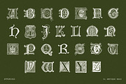 Ornate Botanical Drop Cap Font No15, a Serif Font by Century Library (Thumbnail 4 of 5)