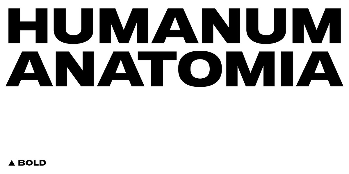 BB Torsos™ Pro, a Sans Serif Font by Bold Studio (Photo 8 of 17)