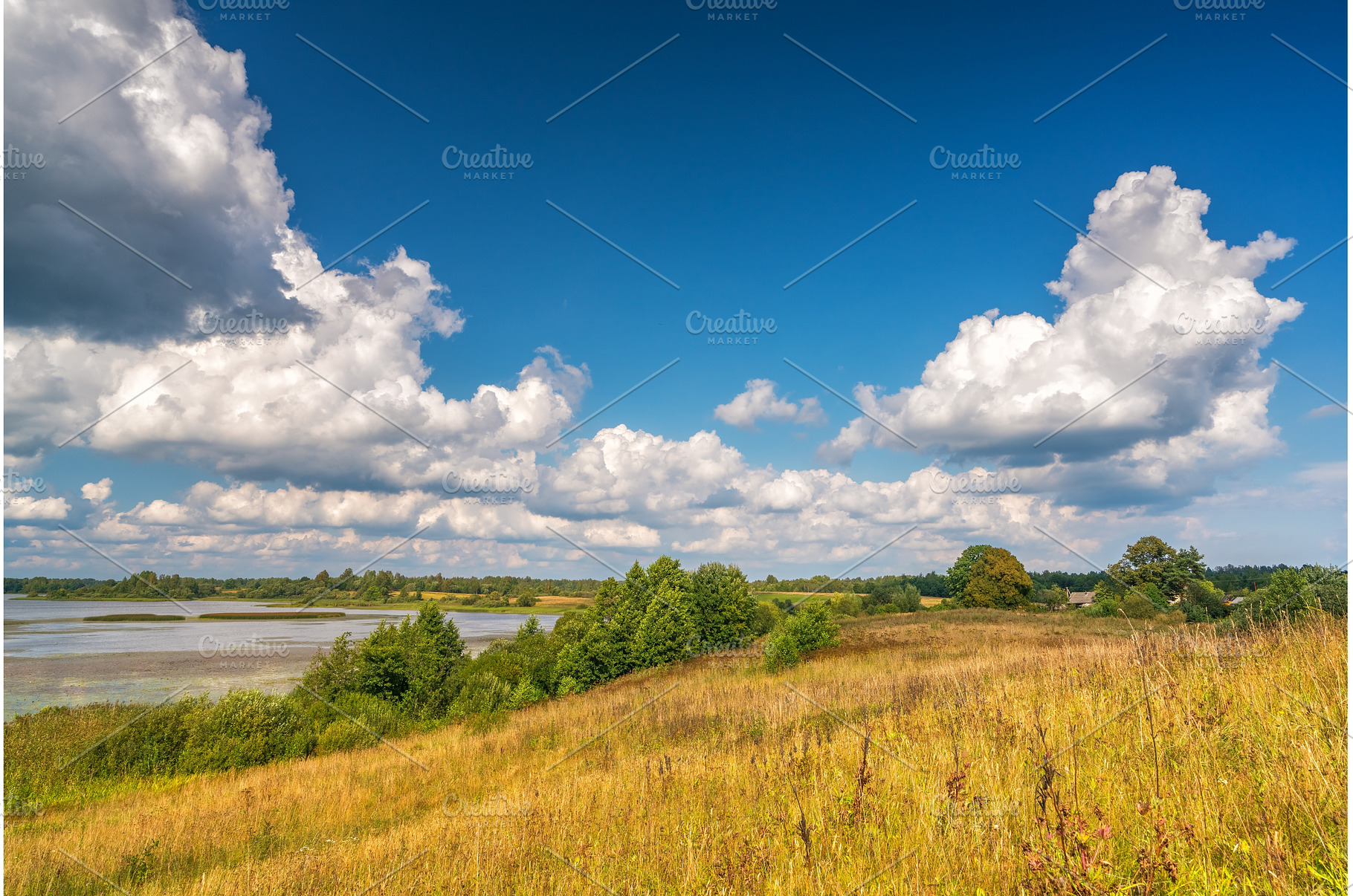 Summer landscape at sunny day, a Nature Photo by sborisov