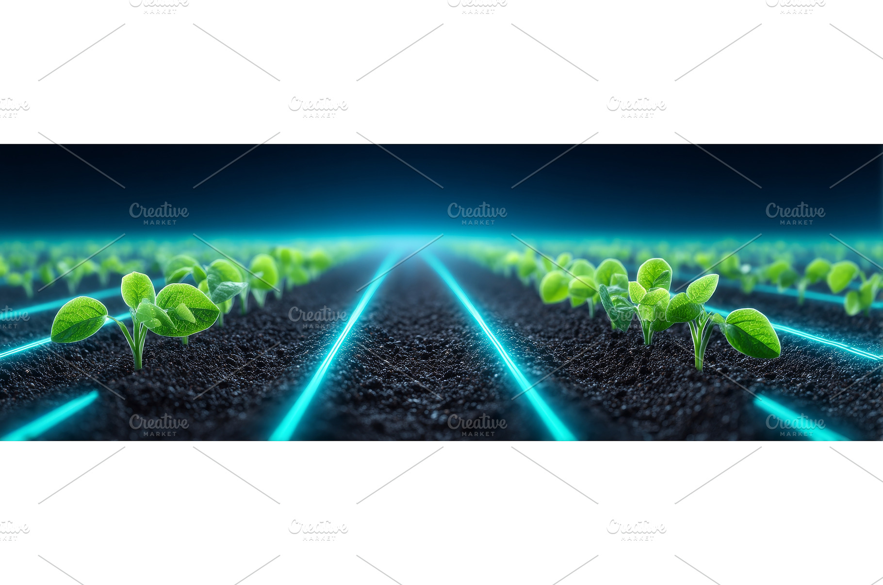 In warm sunlight, fertile soil, a Nature Photo by ZinetroN