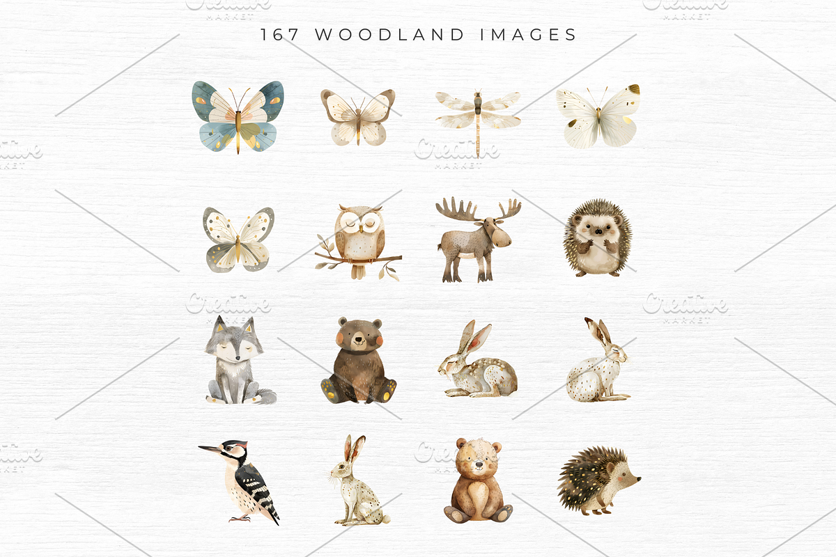 Woodland Animal Clipart, an Animal Illustration by EllyandLima (Photo 5 of 10)
