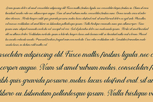 Salazar - Lettering Script