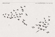 Sketch-Style Bird Flock Vector Set, an Animal Illustration by TheMountBirdStudio (Thumbnail 6 of 11)