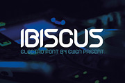 Ibiscus, a Handwritten Font by La Boite Graphique (Thumbnail 1 of 4)