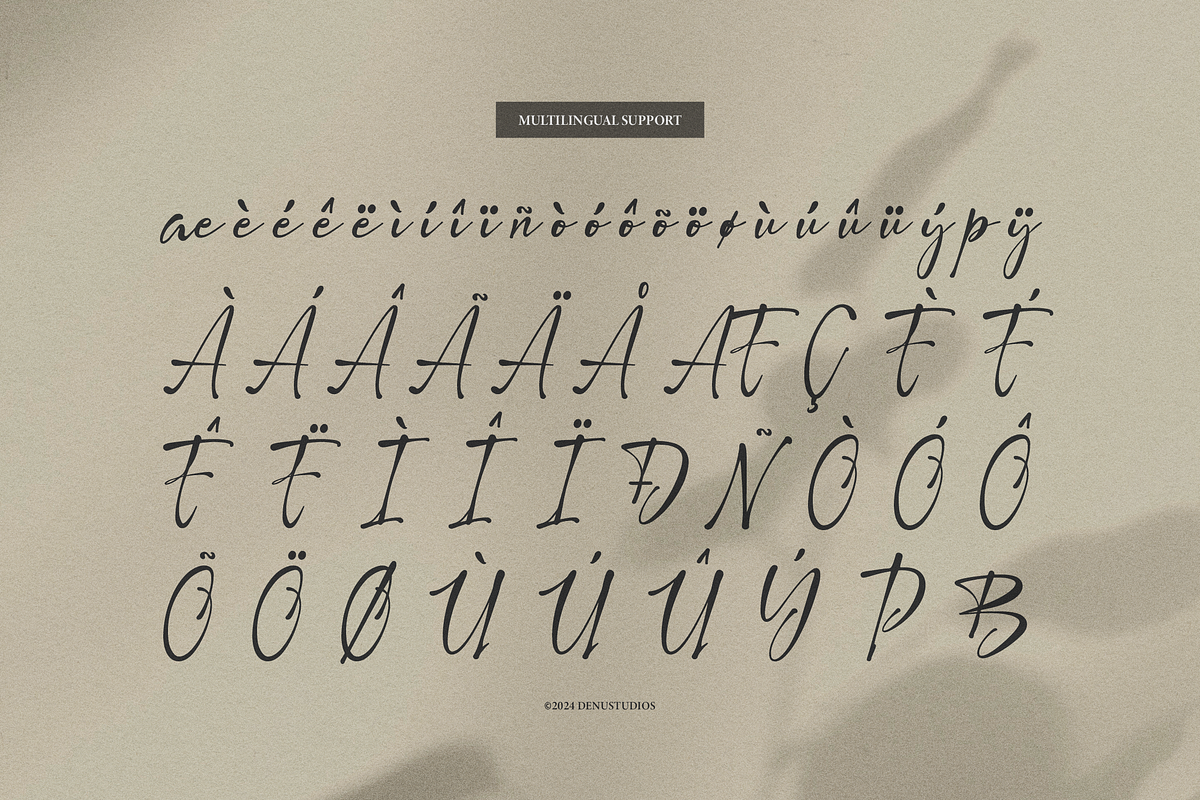 Pegiblue | Classic Signature Font, a Font by Denustudios (Photo 12 of 13)