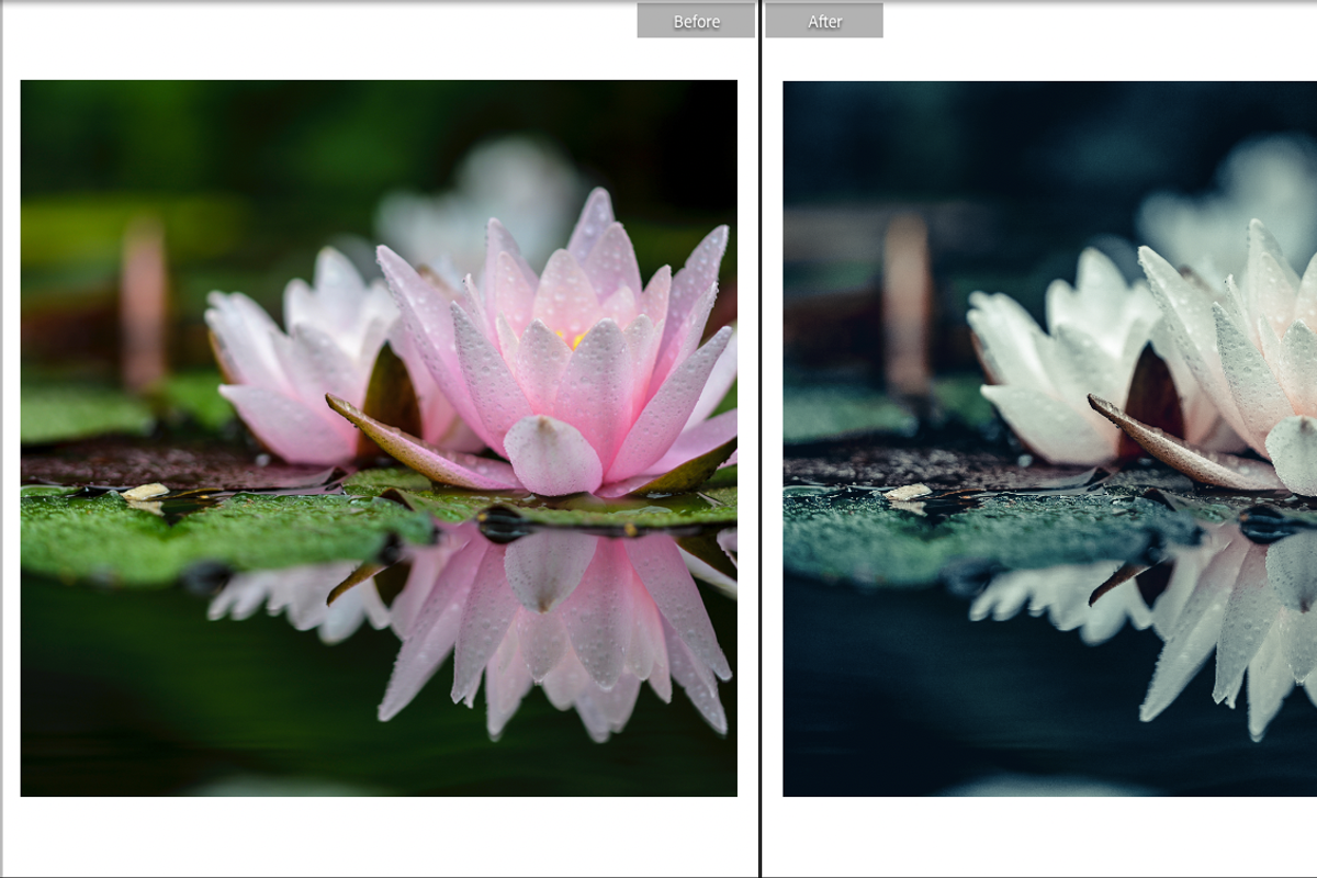 Moody Inspired Mobile LR Preset v2, a Preset Add-On by Fltrr Lightroom Presets (Photo 5 of 14)