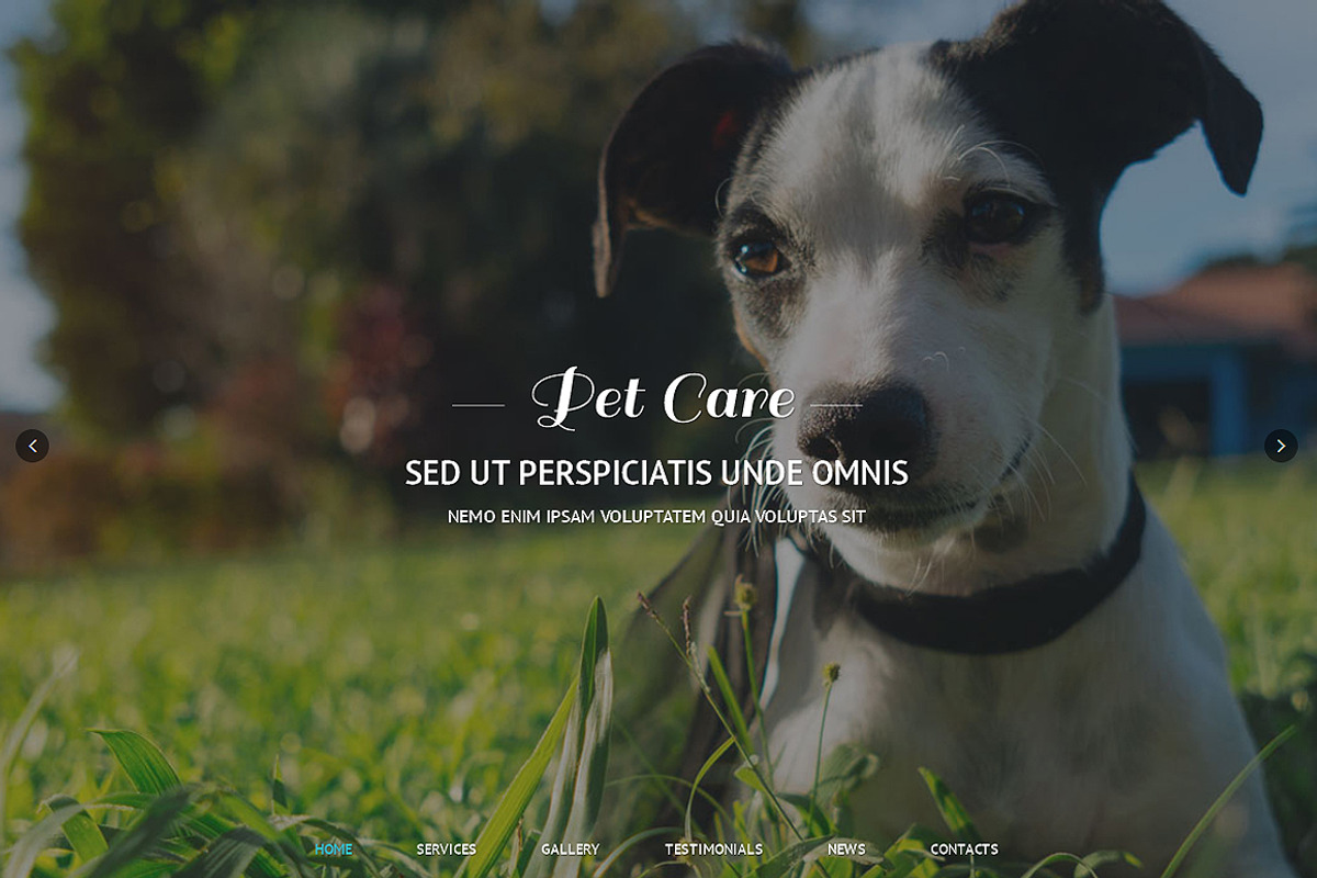 Pet Care Responsive One Page Theme, a Landing Page Template by IceTemplates (Photo 1 of 3)