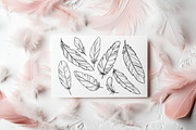 Elegant Feathers Line Art SVG, an Object Graphic by Dervik Art Store (Thumbnail 6 of 6)