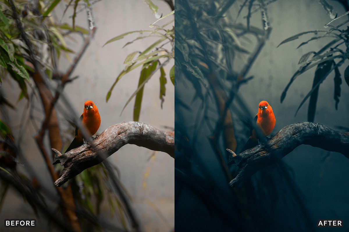 AI Dark Aesthetic Lightroom Presets, a Preset Add-On by AAA Presets (Photo 12 of 23)